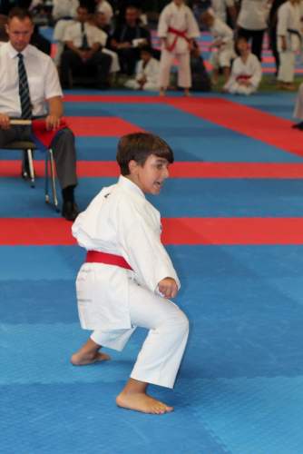 banzai 2013-0427.JPG --- erstellt mit toms-galerie V1.3 - www.tomshaus.de